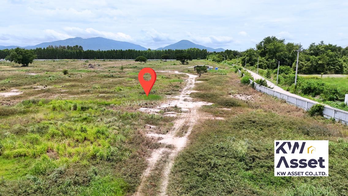 ขายที่ดิน 74-1-24 ไร่ 📍ที่ตั้ง ต.มาบไผ่ อ.บ้านบึง จ.ชลบุรี 10