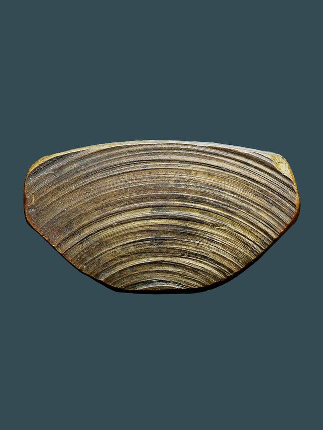 รูปเหมือนปั๊มหลวงพ่อเงิน ปี 15 วัดท้ายน้ำ พิมพ์หน้าแก่ ว ขีด ฐานสูง...เก่าๆ 5