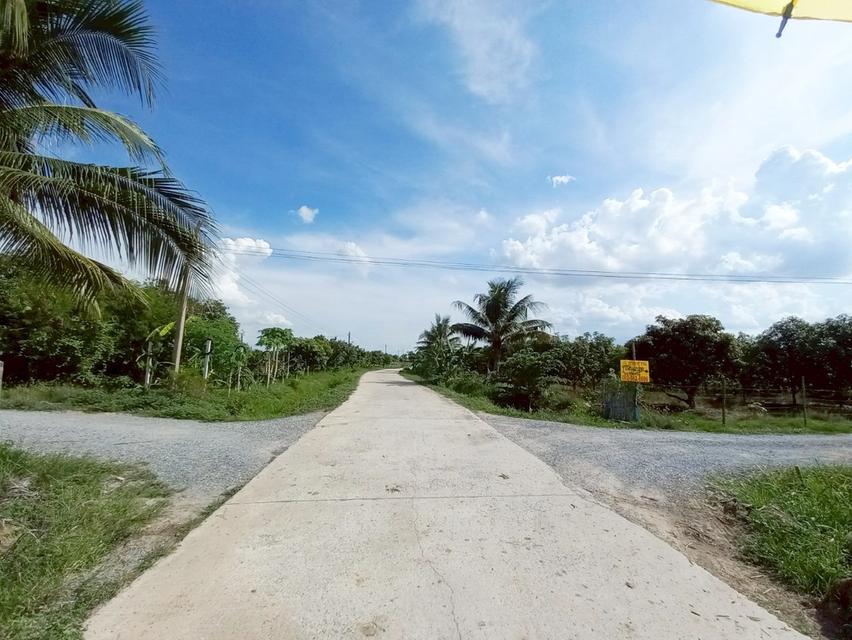 ขายที่ดินเปล่า คลอง16 (หนองปล้อง) อำเภอดอนเจดีย์ จังหวัดสุพรรณบุรี