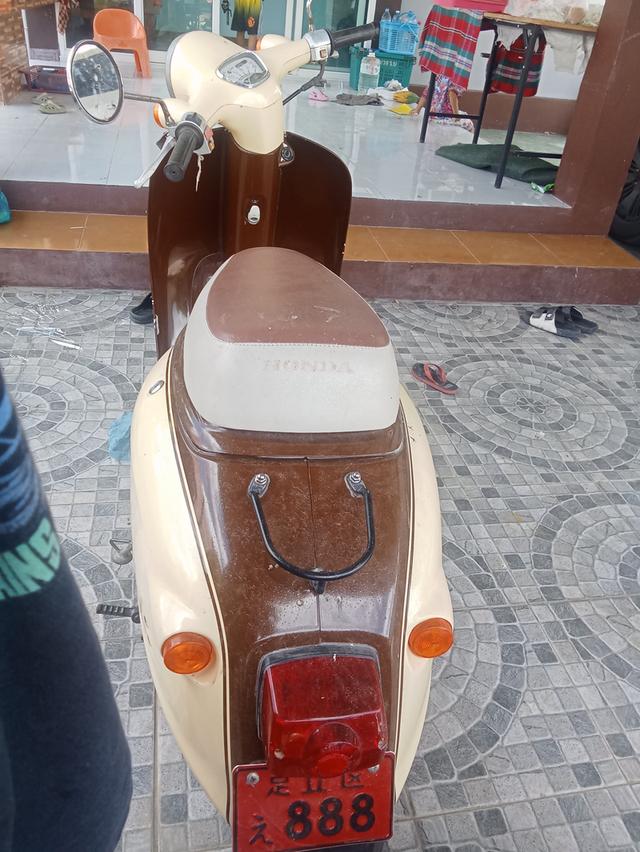 Honda giorno 50cc รถป๊อบ