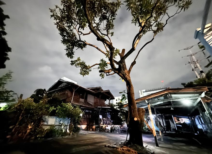 บ้านและที่ดิน360ตรว พระนั่งเกล้า นนทบุรี 5