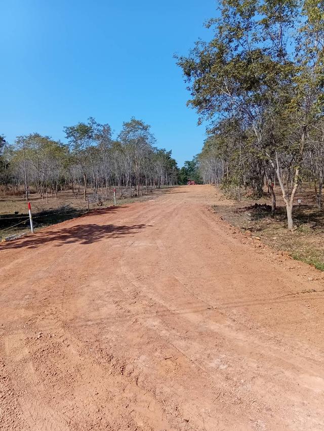 ที่ดินแบ่งขายมีโฉนด ครุฑแดง 5