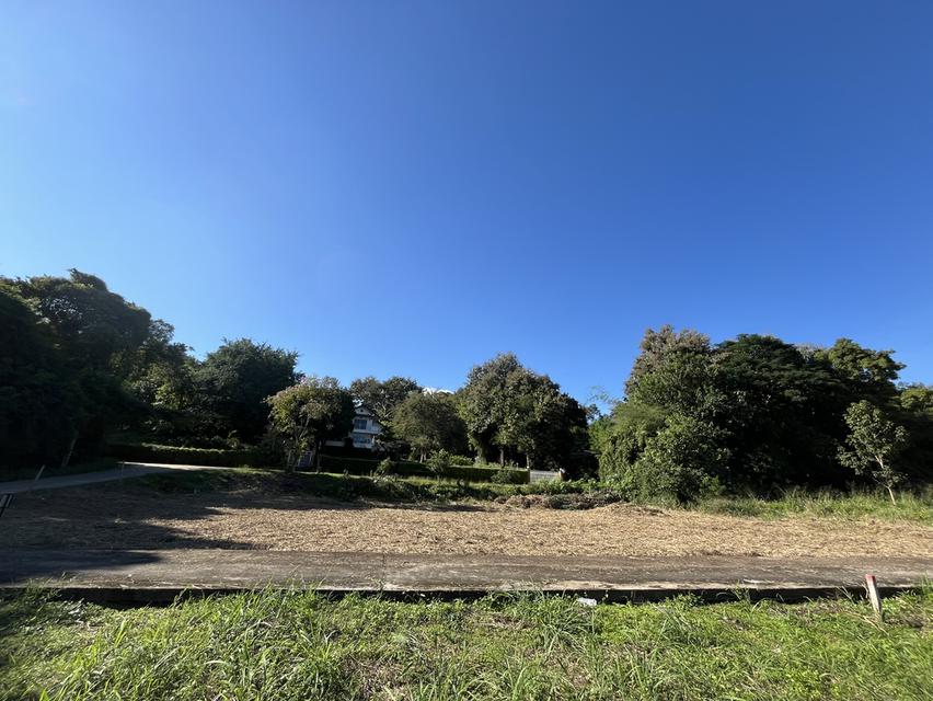 บ้าน ที่ดิน ขาย ให้เช่า 3