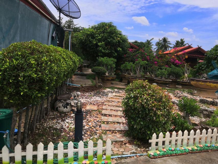 รีสอร์ทเรือนไทยสีคิ้ว 6