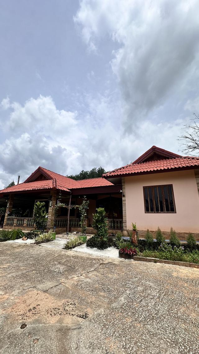 บ้านพร้อมสวนทุเรียน 2