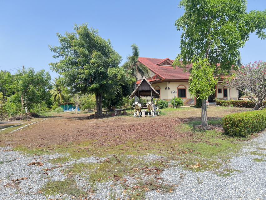 ขายด่วน! ที่ดินผืนใหญ่ 12 ไร่ พร้อมบ้าน 4 หลัง (ตกแต่งด้วยไม้สัก) – อ.สามชุก จ.สุพรรณบุรี 8