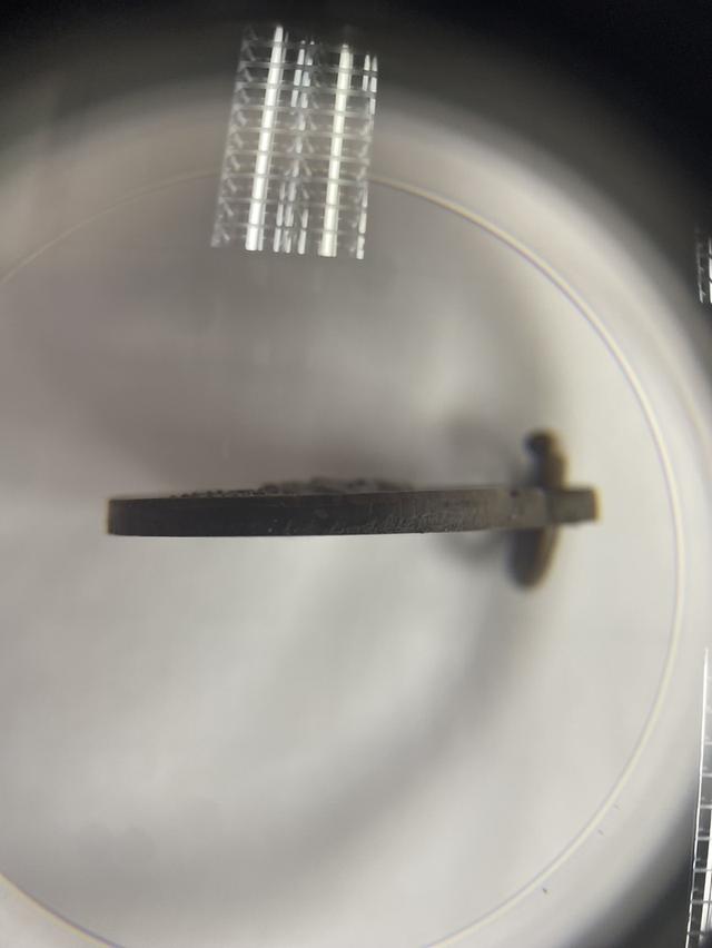 เหรียญเม็ดแตง หลวงปู่หมุน ปี 43 รูปย่อยที่ 3