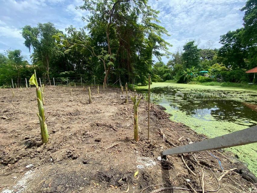 ขายที่ดิน หมู่บ้านเลคการ์เด้นวิลล์ รังสิต คลอง3 ธัญบุรี รังสิต-นครนายก68 พื้นที่ 155 ตรว ด้านหลังติดเลค ใกล้ฟิวเจอร์พาร์ค รังสิต 7
