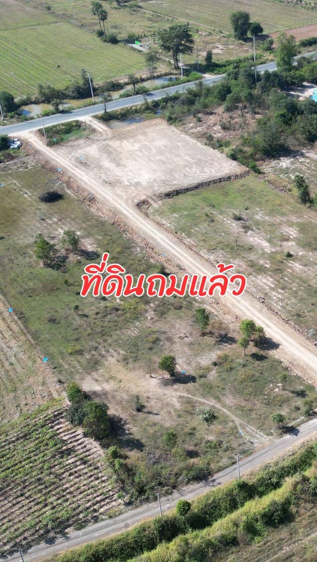 ขายที่ดินสุพรรณบุรี ราคาถูก ถมแล้ว ติดถนนเส้นหลักกรุงเทพ-ด่านช้าง ทำเลดี น้ำไม่ท่วม เหมาะสร้างบ้านหรือทำธุรกิจ อ. หนองหญ้าไทร ใกล้กรุงเทพ 2 ชั่วโมง 13