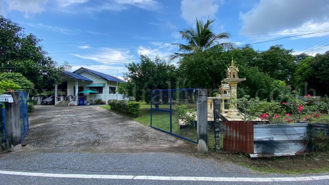 บ้านเดี่ยว ชั้นเดียว พร้อมที่ดิน 2-3-97 ไร่ วังกระโจม - นครนายก 2