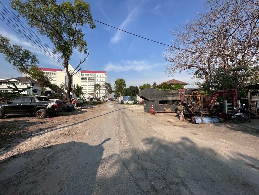 ที่ดินเปล่า 5