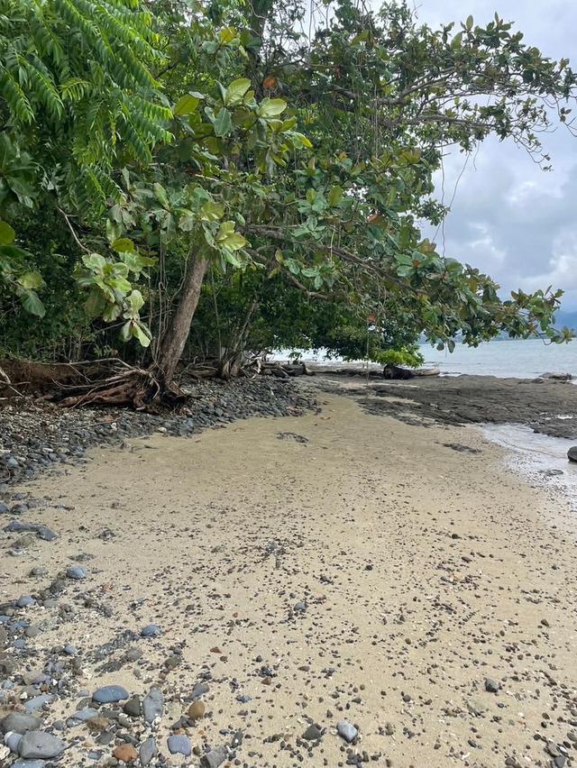 ขายที่ดินติดหาด เกาะโหลน จังหวัดภูเก็ต 5