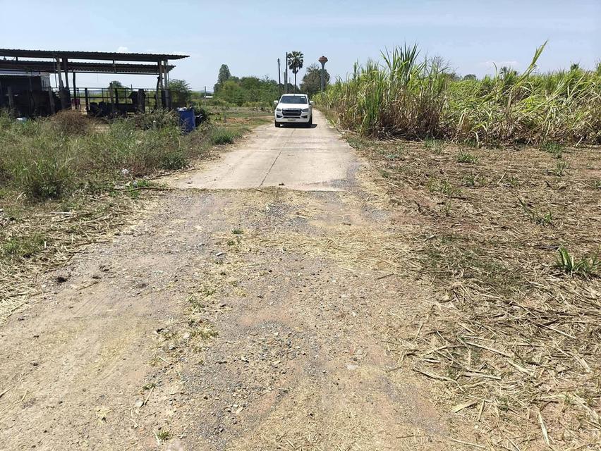 ขายที่โฉนครุฑแดง  เจ้าของ รีบขาย ทำเลดี ติดถนน  ติดทางสาธารณะ ถนนล้อมรอบ ที่ถมแล้ว พร้อมมาก ทำเลดี น้ำ ไฟ ครบ รอแค่ บ้านมาปลูก ได้เลยค่ะ แปลงติดกัน มี 3