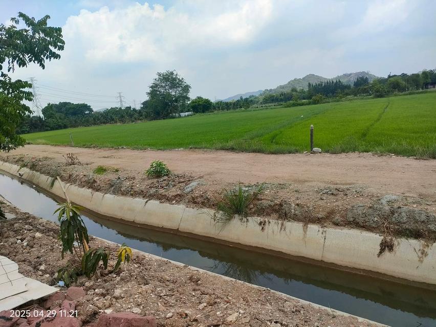 ที่ดินทำสวนฝรั่ง จ.ราชบุรี 8