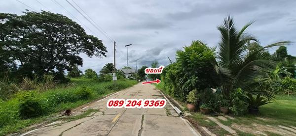 ขายที่ดิน คลอง 8 ราคาถูก ต.ลำผักกูด อ.ธัญบุรี จ.ปทุมธานี พื้นที่ 100 ตรว. 790,000 บาท นก0892049369 2