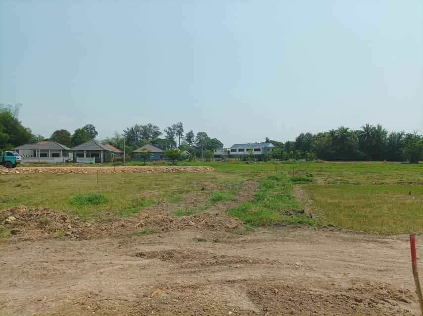 ขายที่ดิน 12,900บาท/ตร.ว. ต.สันปูเลย อ.ดอยสะเก็ด จ.เชียงใหม่ 11