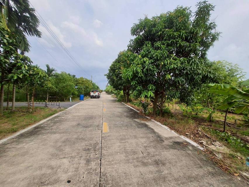 🔊ขายด่วน‼️ที่ดินคลองห้า 200 ตารางวา💢ติดถนนคอนกรีตสาธารณะ📮ซอย คลองห้า ตต.57 อ.คลองหลวง จ.ปทุมธานี📲095-878-4465   5