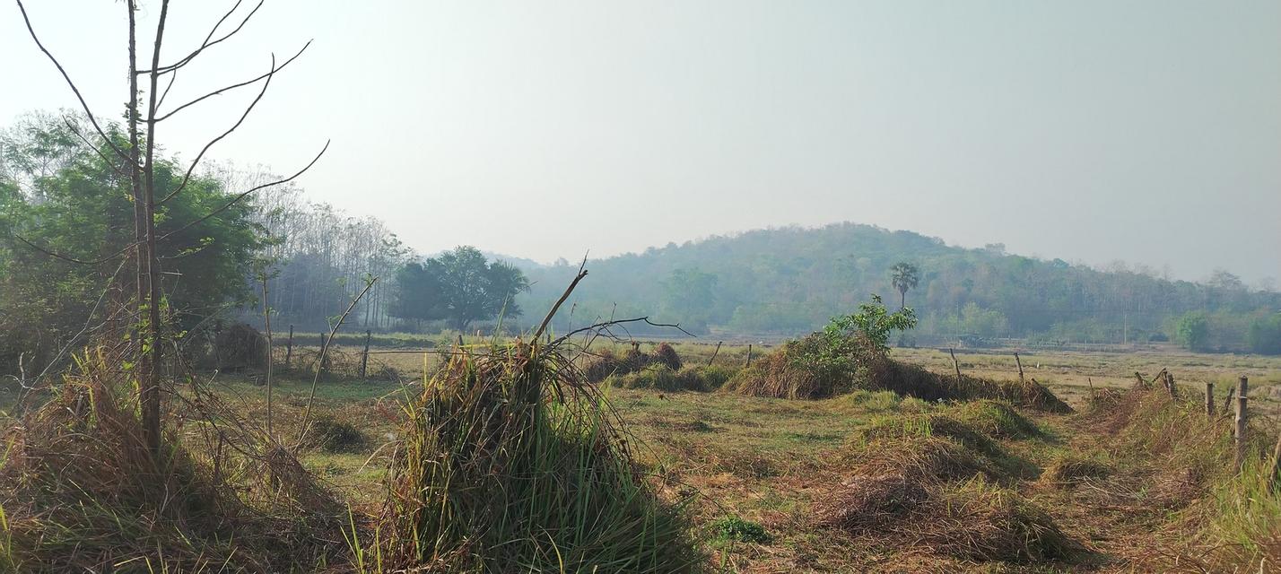 ที่โฉนดวิวเขา ห่าง อบต 1กิโล ที่หน้ากว้างติดถนน80เมตรวิวสวยมากใกล้ชุมชน 2