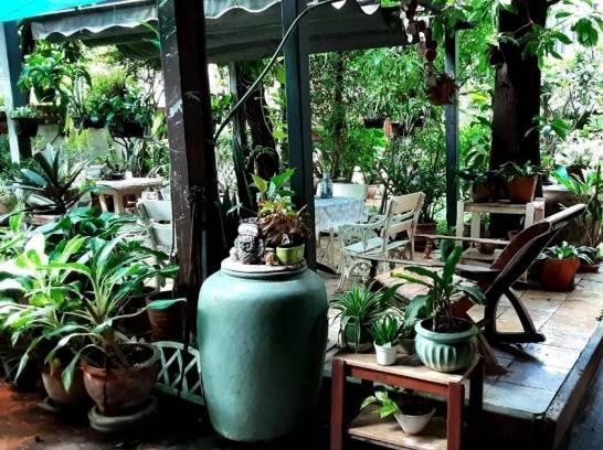 บ้านเดี่ยวเนื้อที่ 446 ตรว. ใจกลางเมือง เหมาะสำหรับลงทุน 8