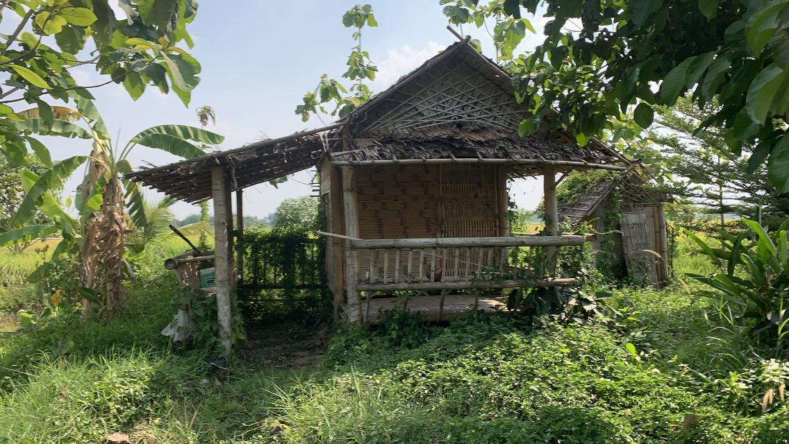 ที่ดินโคกหนองนา3.5 ไร่ 9