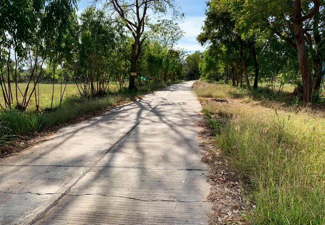 ขายที่ดิน 1-2-47 ไร่ ตำบลในเมือง อำเภอพิมาย นครราชสีมา 4