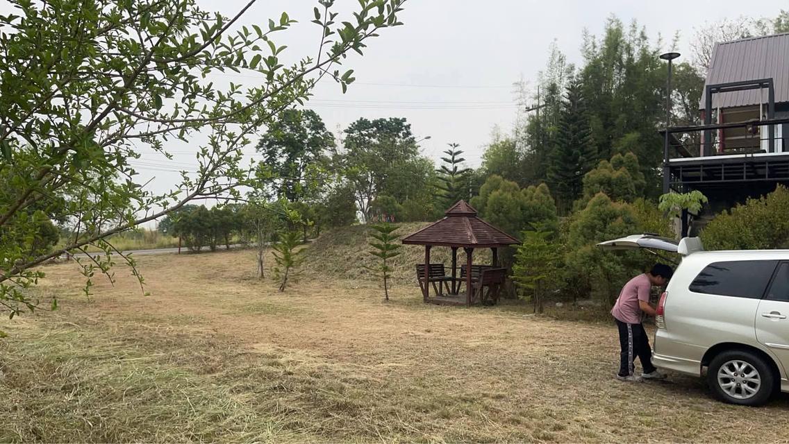 ขายบ้าพร้อมที่ดินอ4ไร่อำเภอวังน้ำเขียวจังหวัดนครราชสีมา บ้านขนาด 1 ห้องนอน 2 ห้องโถ  1 ห้องน้ำ 1 ห้องครัว หมู่16 ตำบลวังน้ำเขียวบ้านคลองบงพัฒนา 5