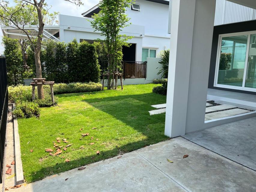 ขายบ้านเดี่ยว 2 ชั้น โครงการชัยพฤกษ์ ทางด่วนรามอินทรา-จตุโชติ 70 ตรว. พร้อมสวนรอบบ้าน ใกล้ทางด่วน จตุโชติ 3