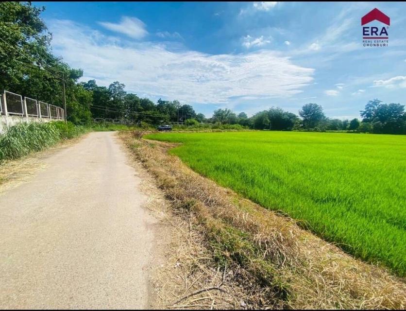 ขายที่ดินเปล่าแปลงใหญ่ ติดถนนหลัก ใกล้ถนนมิตรภาพ โคราช 4 ไร่ 48.3 ตรว 2