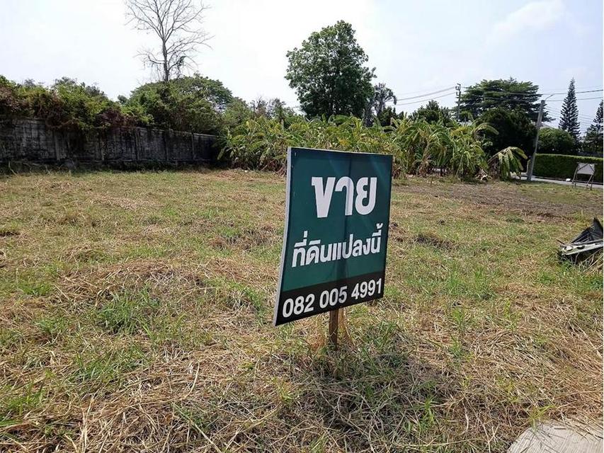 ขายที่ดินในหมู่บ้านเนเบอร์โฮม สุขาภิบาล5 5