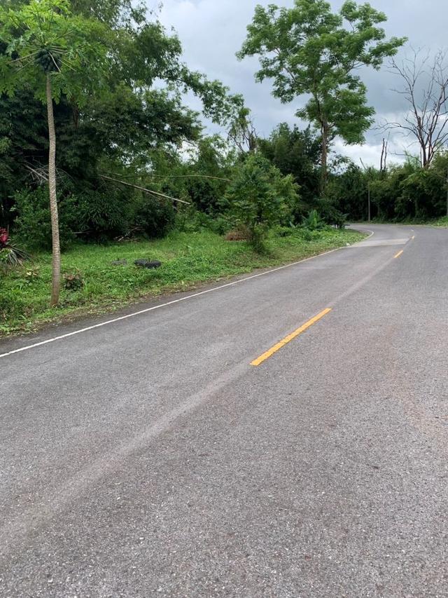 ขายที่ดินสวย 16 ไร่ 1 งาน 71 ตร.วา วิวเขาใหญ่ ติดถนนสาธารณะ คลองมะเดื่อ นครนายก ใกล้น้ำตกสาริกา 7