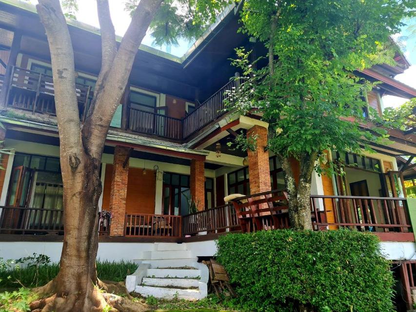 ขายบ้านสวย 2 หลัง ใจกลางธรรมชาติ วิวเขา เงียบสงบพร้อมเข้าอยู่ บ้านแม่ฮี้ อ.ปาย แม่ฮ่องสอน เพียง 6.5 ล้านบาท  2