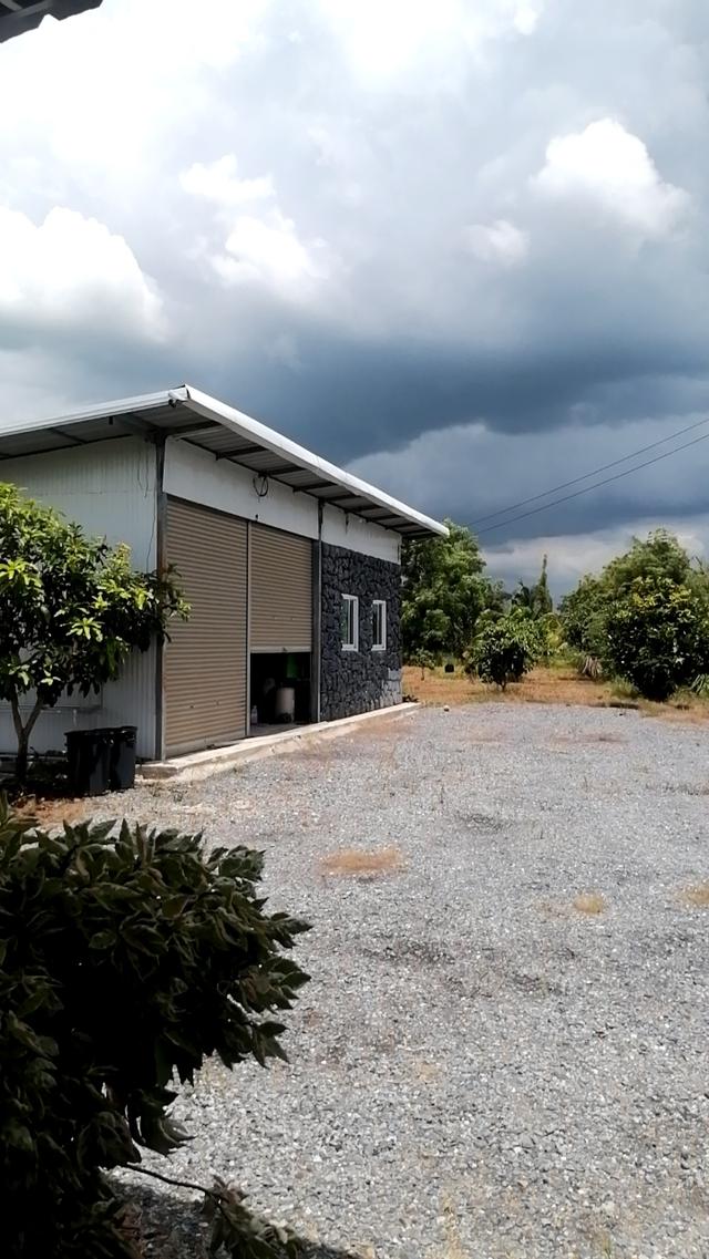 ที่ดินสวยบรรยากาศ​ดีใกล้กรุงเทพ​ เดินทางสะดวก​ 1