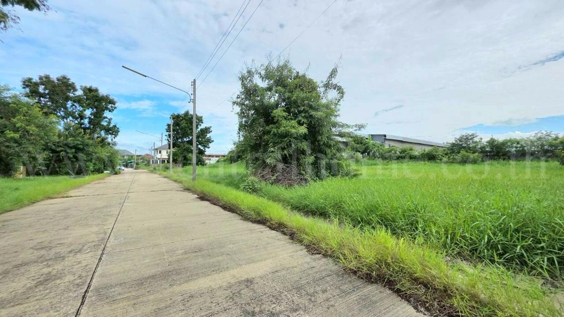 ที่ดินเปล่า 98 ตร.วา ต้นโครงการ เดอะลากูน 1-2 สามโคก ปทุมธานี  3