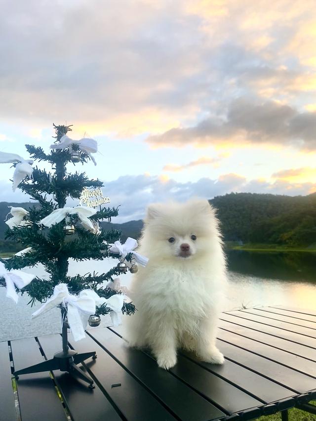 ปอม ชายจริงหญิงแท้ น่ารักๆ 6