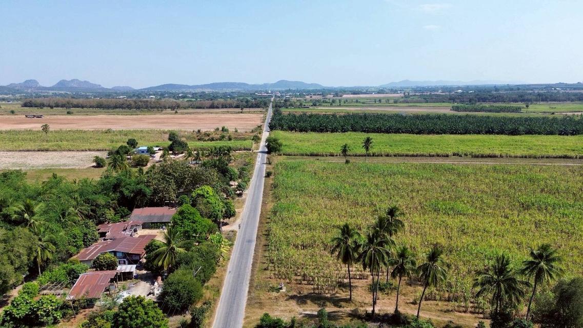 ที่ดินโฉนดครุฑแดง 44-0-79 ไร่ อ.บ้านไร่ จ.อุทัยธานี ติดถนนลาดยาง ที่ดินสูงเท่าถนนไม่ต้องถม ซอย7 ห่างถนนหลัก333 (ถนน4เลน) เพียง 2 ก.ม. ปากทาง มี 7-11 , 5