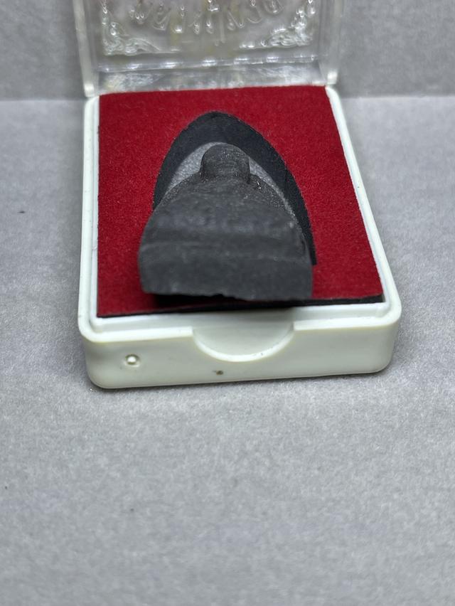 หลวงปู่ทวดผงว่านองค์สวย รูปที่ 5