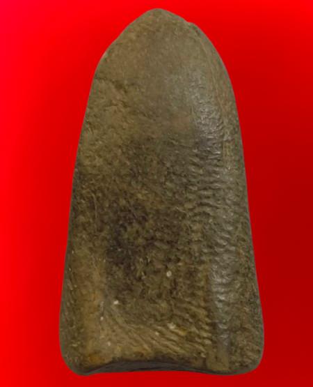 พระกรุนางพญาเนื้อเก่าดินค่ะ รูปที่ 18