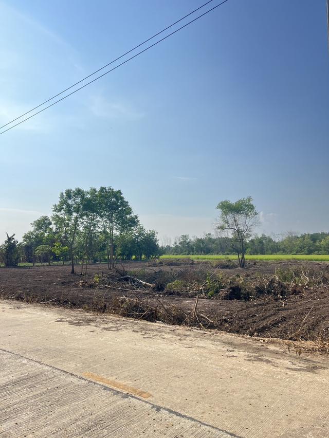 ขายที่ดิน 2 ไร่ คลองหก ปทุมธานี ราคาถูกสุดในย่านนี้ 5