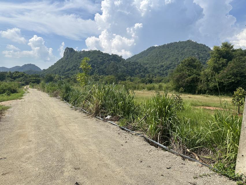 ที่ดินหมูสี ใกล้ 4 แยกกุดคล้า ธนะรัชต์ 2ไร่ 24ตรว  ทำเลดี วิวเขา เหมาะสร้างบ้าน 1