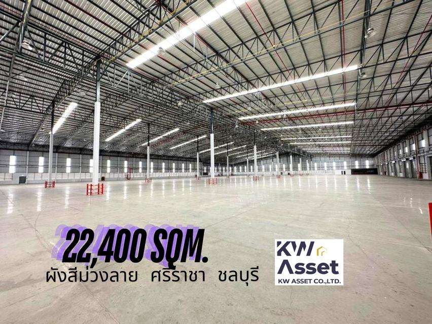 ให้เช่าโรงงาน/โกดัง 22,400 ตรม. เขาคันทรง ศรีราชา จ.ชลบุรี  🟪#ผังสีม่วงลาย  ☑️ เนื้อที่ดิน 25 ไร่  ☑️ ขนาดโรงงาน 22,400 ตรม 4