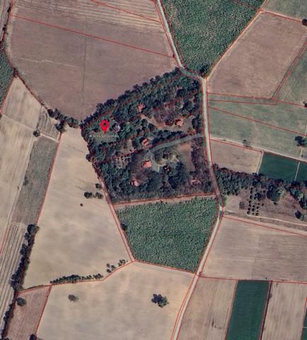 ขายที่ดินทำเลทองพร้อมสิ่งปลูกสร้าง บนเนื้อที่ 18 ไร่ 2 งาน 19 ตารางวา พิษณุโลก 14