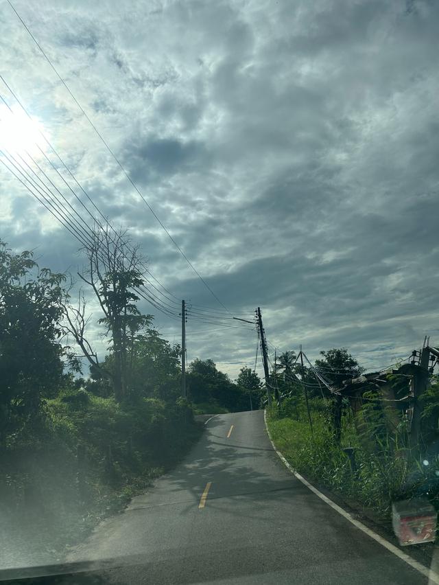 ที่นาวิวสวยไปแถวจอมทอง ติดถนน 2 ด้าน ขายเพียงไร่ละ 350,000 บาท ตารางวาละ 875 บาท 18