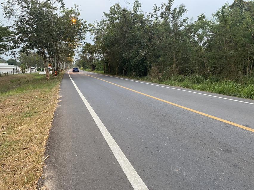 ขายที่ดิน เนื้อที่ 29 ไร่ เกาะจันทร์ จังหวัดชลบุรี 8