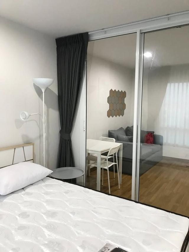 ให้เช่าคอนโด Regent Home Sukhumvit 81 (รีเจ้นท์ โฮม สุขุมวิท 81) BTS อ่อนนุช 4