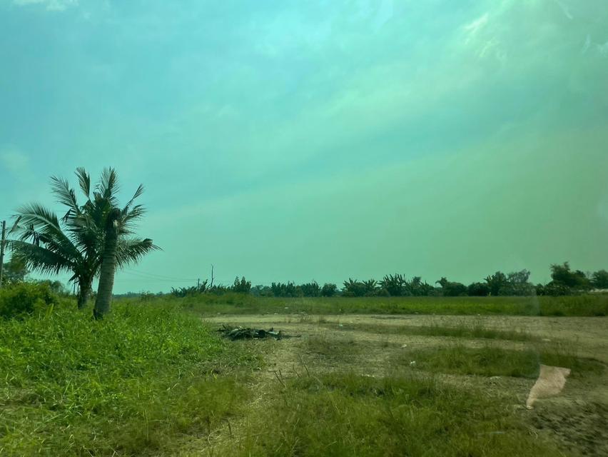 ขายที่ดินเปล่าถมแล้ว ติดถนนพระราม 2 ใกล้ทางด่วนกาญจนาภิเษก-วงแหวนอุตสาหกรรม 17