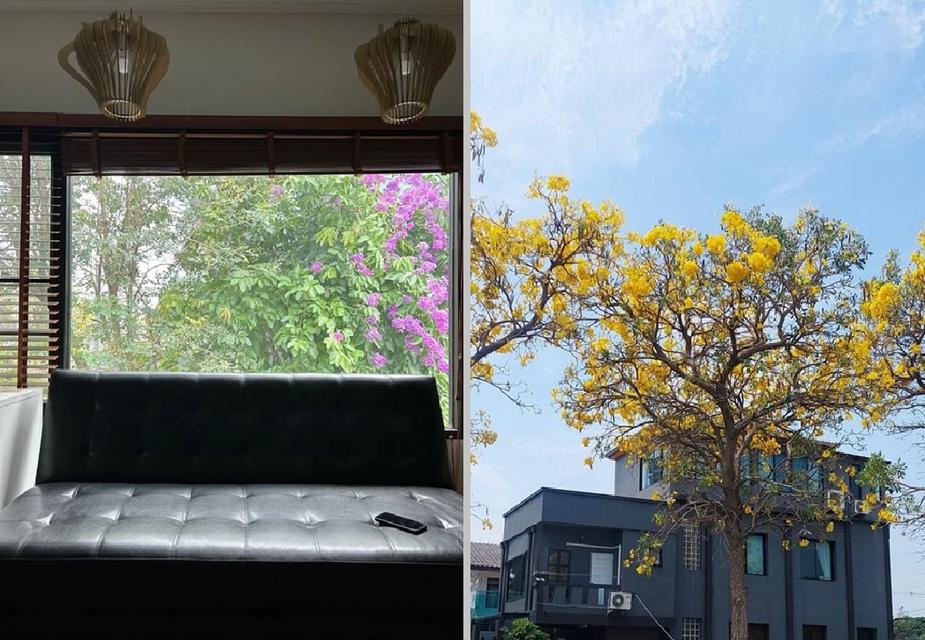 ให้เช่าโฮมออฟฟิศ 3 ชั้น ย่านประชาชื่น / หมู่บ้านการไฟฟ้าภูมิภาคนิเวศน์ 2 / ซอยประชาชื่น 14 / ถนนประชาชื่น / ใกล้การประปานครหลวง สำนักงานใหญ่ 7