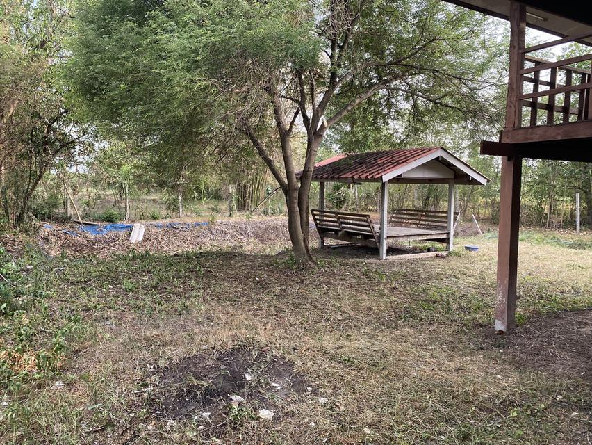 ที่ดิน 2 ไร่ 80 ตร.วา พร้อมบ้าน 2 หลัง อ. หนองหญ้าไซ สุพรรณบุรี 2