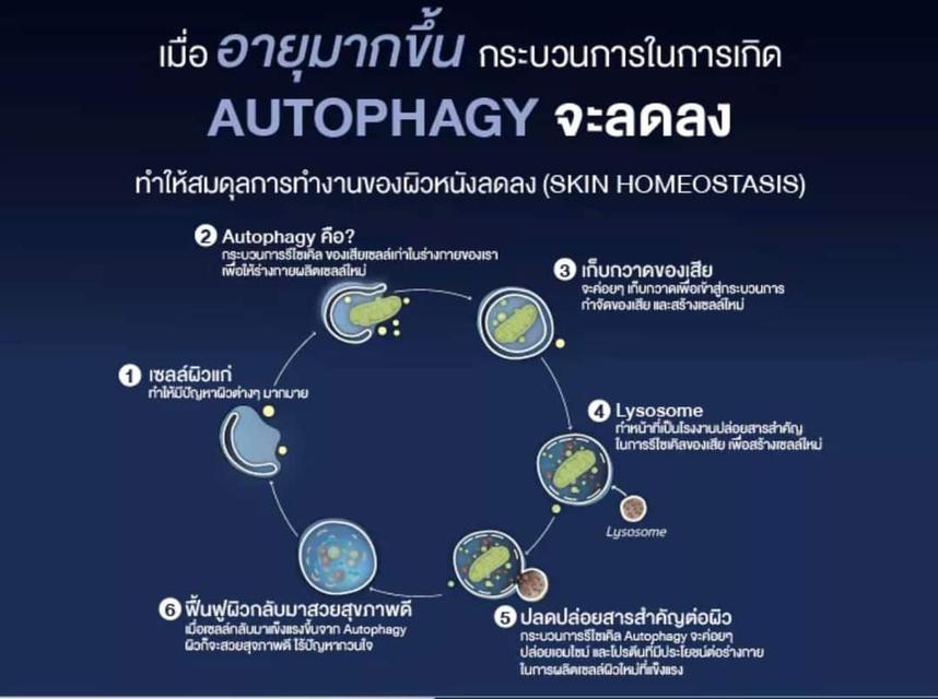 เซรั่มและมอยเจอร์​ไรเซอร์​Dermartlogy Thailand  3