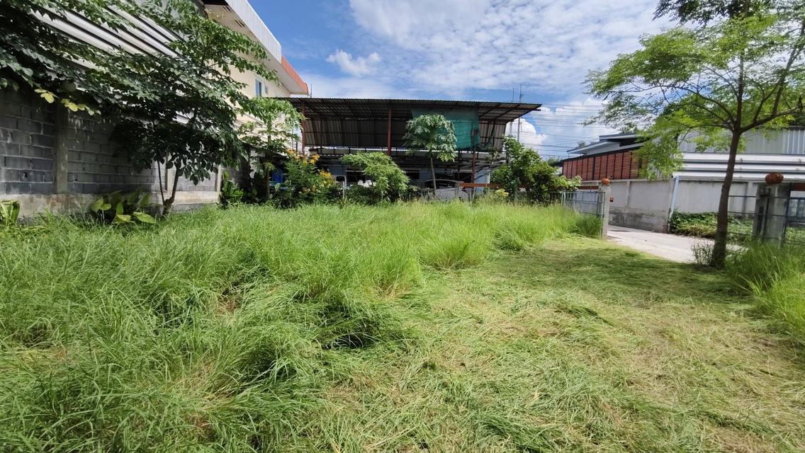 #ขายที่ดินทำเลดี #ที่ดินสวยทำเลทองใกล้ห้างสรรพสินค้า 2