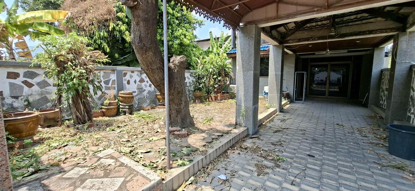 ขายบ้าน2ชั้น หมู่บ้านเสรี พระราม9 เนื้อที่ 49 ตรว. ฝั่ง The Nine ทำเลดีใกล้เดอะไนน์เพียง150เมตร เหมาะพักอาศัยหรือทำออฟฟิศ 6